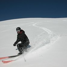 Dagsmeja. Foto: Peo Hamrin. &Aring;kare: Bengt Eriksson.