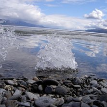 Foto: Julia Nilsson.