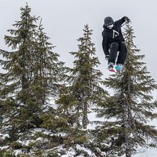 Hoppar igenom tr&auml;d i S&auml;len..