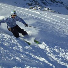sk&ouml;na sv&auml;ngar i s&ouml;lden. &Aring;kare: Alexander Palm.