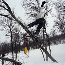 Jens tar en sv&auml;ng upp p&aring; en tr&auml;d.. Foto: Linus Krantz. &Aring;kare: Jens Jonsson.