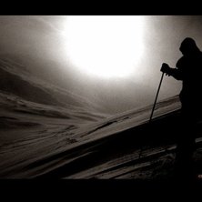 Svarta Bj&ouml;rn i Bj&ouml;rkliden.. Foto: David Furendal. &Aring;kare: Jocke.