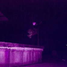 Vi var ute och sl&ouml;-blejda en dag och s&aring; hitta de. Foto: Niclas Jacobsson. &Aring;kare: Marus Nordvall.