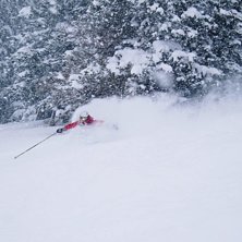 Grym skogs&aring;kning p&aring; Brunni...det 
sn&ouml;ade den d. Foto: Mikael Jorstig. &Aring;kare: Rickard Jorstig.