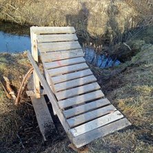 Foto: g&ouml;g&ouml;. &Aring;kare: f&ouml;rsta hoppet.