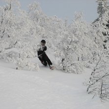 softish. Foto: bagarn. &Aring;kare: niklas.