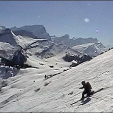 Sk&ouml;n sorb&eacute;. Foto: Patrik Josefsson. &Aring;kare: J&ouml;rgen Jonasson.