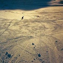 Kan det bli mycket vackrare?. Foto: Andreas Landgren. &Aring;kare: Andreas.