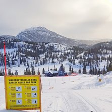 Park park park
Parken er nyshapet, og t&oslash;nna har g.