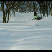 En trevlig morgon med nysn&ouml; i skogen.. Foto: Ebony. &Aring;kare: Johan Olsson.