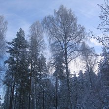 Foto: Alexander Ovinder.