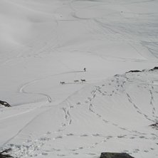 Grymt clean bild(picture) p&aring; Bosse och n&aring;gra cle. Foto: H&aring;kan &Ouml;dman. &Aring;kare: Christoffer Bostr&ouml;m.