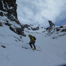 Katta fr&aring;n Abisko v&auml;rmer upp inf&ouml;r Keb Classic. Foto: tryggve tir&eacute;n.