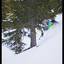 Den skuggiga skogen i Spieljoch.
H&auml;r kommer n&auml;s. Foto: Christian &Aring;kesson. &Aring;kare: Maria J&ouml;nsson.