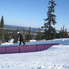 Foto: JENNY. &Aring;kare: Olle.