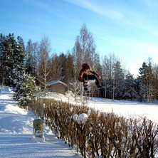 Foto: Mor. &Aring;kare: Tim Linng&aring;rd.
