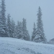 Det sn&oslash;r!
Etterlengtet sn&oslash;fall p&aring; fjellet i dag.