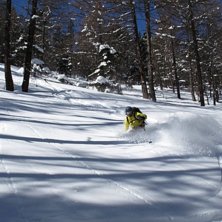 Foto: Martin swe. &Aring;kare: Danne sundstr&ouml;m.