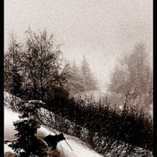 en svart vit dag i verbier &auml;r b&auml;ttre &auml;n en dag . Foto: rob h smith. &Aring;kare: sunken sr.