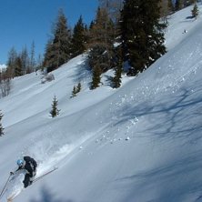 Le Friolin. Foto: Daniel Salomonsson. &Aring;kare: H&aring;kan Karlsson.