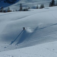 Tete Du Jarset. Foto: Daniel Salomonsson. &Aring;kare: H&aring;kan Karlsson.