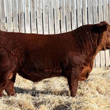 jag p bild. Foto: Andreas Sw&auml;rdh. &Aring;kare: Dennis g&auml;rdskog.