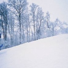 -30 grader stoppar inte en tuffing!. Foto: Tobbe Aldg&aring;rd. &Aring;kare: Rickard Magnusson.