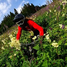 Foto: Johan St&aring;hlberg.