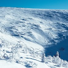 &Ouml;ppen och fint sluttande terr&auml;ng i ravinen i Vem. Foto: Axel Adolfsson.