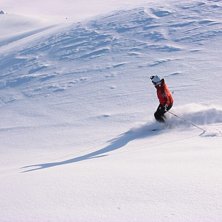 H&auml;r blir hon fr&auml;lst i puder&aring;kning!. Foto: Stefan Vikberg. &Aring;kare: Karin Ekstr&ouml;m.