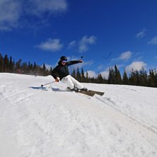 Foto: Stefan Millg&aring;rd. &Aring;kare: Anton Norberg.