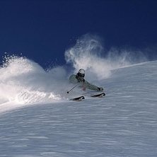 Foto: Martin S&ouml;derqvist. &Aring;kare: Reine Barkered.
