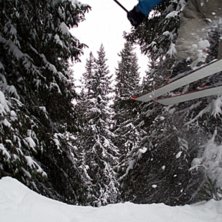 Lite skogskid&aring;kning i Tegefj&auml;llsskogen. Foto: Samuel Johansson. &Aring;kare: Viktor Bjurlid.