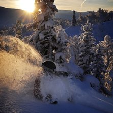 Foto: Edvin Modigh. &Aring;kare: Oscar Modigh.