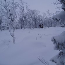 Foto: jonkan. &Aring;kare: Jonas Olsson.