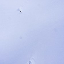 Micke p&aring;v&auml;g ner i en r&auml;nna i Superbowl...... Foto: Per Nyberg. &Aring;kare: Mikael Norrman.