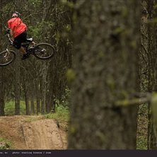 Foto: Sterling Lorence.