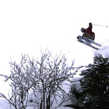 hittade ett fint litet dropp, mittmonterade parksk. Foto: Henrik Nyman. &Aring;kare: christian ekdahl.