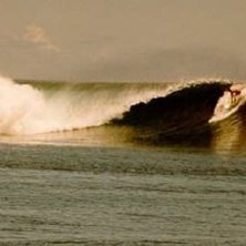 Solida 4-6 fots v&aring;gor den 23:e dec. 1999.. Foto: Johan &Ouml;hlund. &Aring;kare: Ok&auml;nd Nya Zeel&auml;ndare.