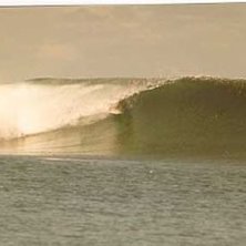 Solida 4-6 fots v&aring;gor den 23:e dec. 1999.. Foto: Johan &Ouml;hlund. &Aring;kare: Ok&auml;nd Nya Zeel&auml;ndare.