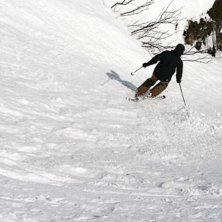 Foto: Hans Einar Bekkelund. &Aring;kare: Allan Hansen.