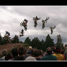 Klippt av 6 olika kort i PS.. Foto: Henrik Plyhm. &Aring;kare: ok&auml;nd.