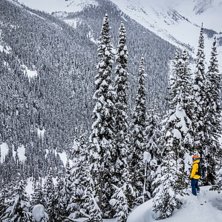 Revelstoke (Rogers Pass).