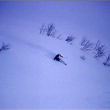 Foto: Rikard Andersson. &Aring;kare: Daryl Treadway.