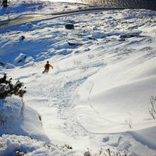 N&aring;gra sm&aring; sv&auml;ngar i f&ouml;rs&auml;songspuder!. Foto: Andreas Kjellberg. &Aring;kare: Simon B&ouml;rjars.