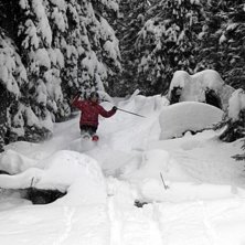Sn&ouml;n bl&aring;ste ned i skogen.... Foto: Anna H&uuml;binette. &Aring;kare: Magnus Eriksson.