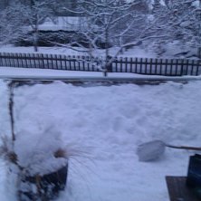 rail. Foto: Kristoffer L&ouml;wdin.