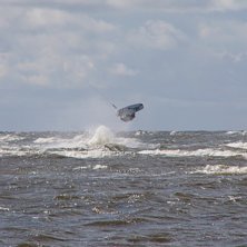 backroll. Foto: Jakob Jakobsson. &Aring;kare: Arvid Larsson.