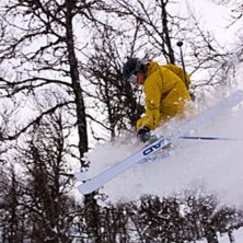 Vi drog ut i skogen f&ouml;r att fota lite puder&aring;knin. Foto: Ebba Kling-Odencrants. &Aring;kare: Einar Kling-Odencrants.