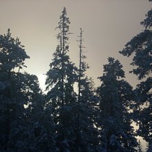 Nice kort p&aring; syd sidan vid romme alpin. Foto: Anderas.